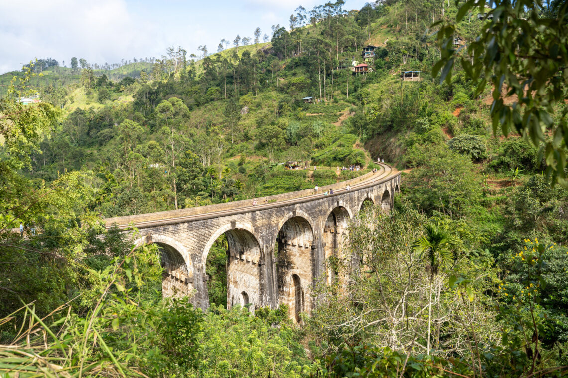 Sri Lanka Visa For Pakistan Citizen 