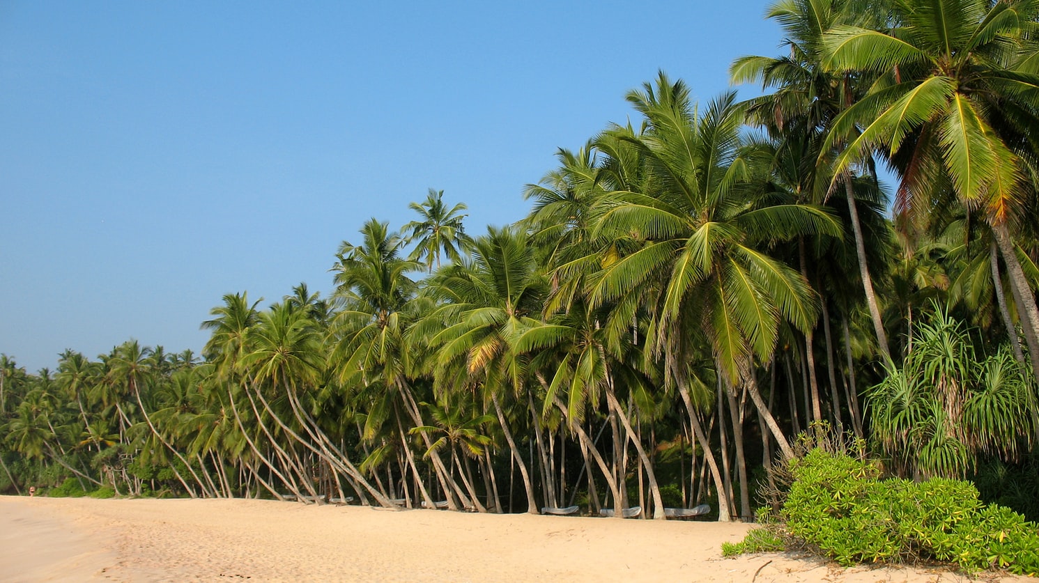 Sri Lanka Visa for Nauruan citizens