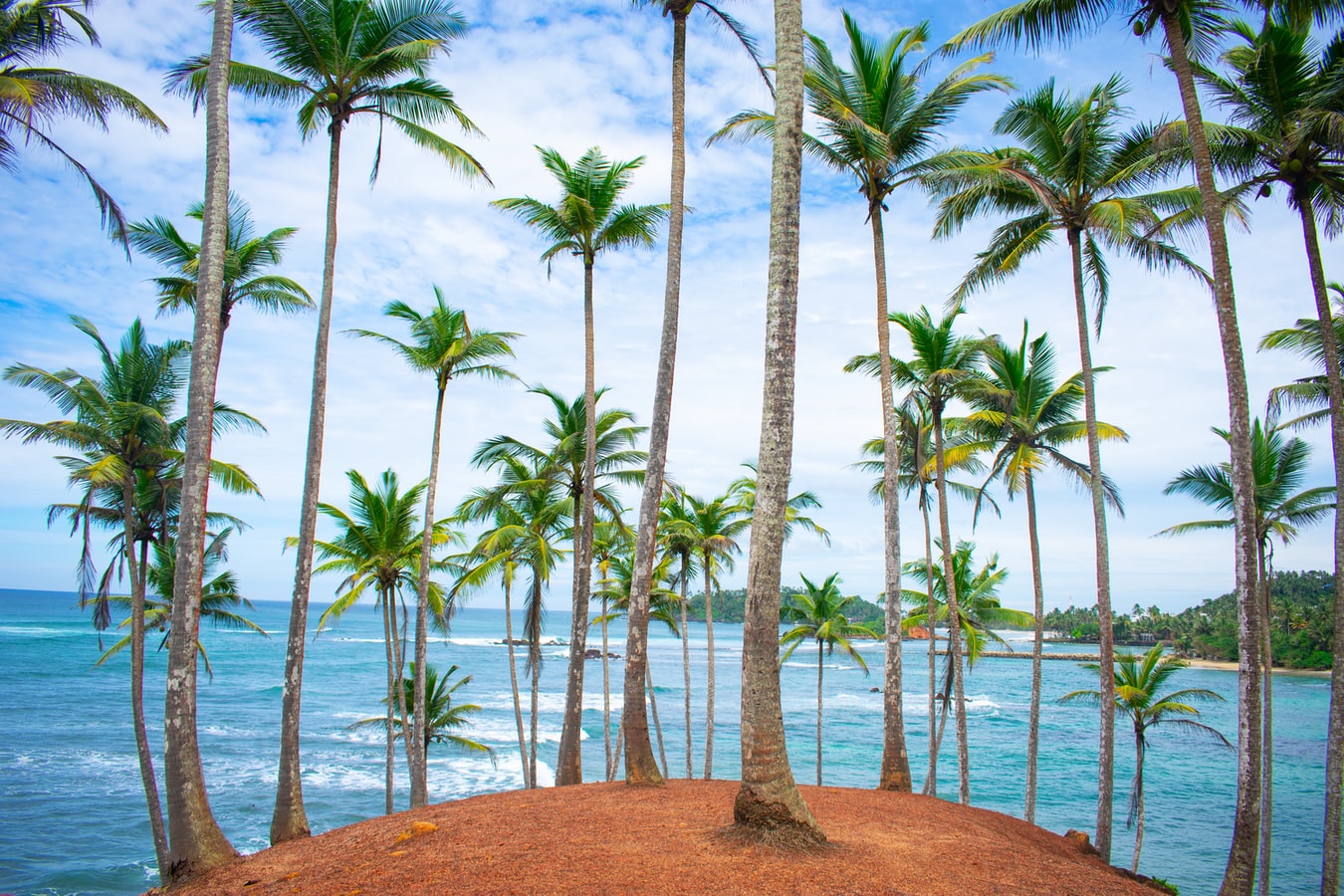 Sri Lanka Visa for Panamanian citizens