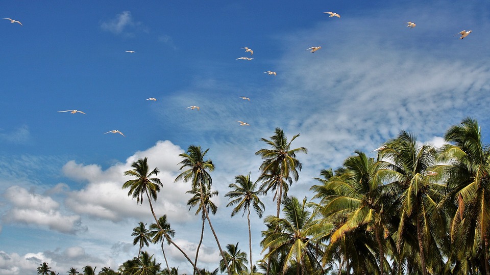Sri Lanka Visa for Portuguese citizens